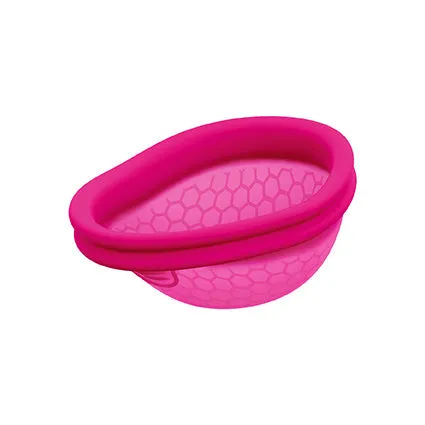 Male Sex Toys Intimina Intimina Ziggy Cup 2 Size B