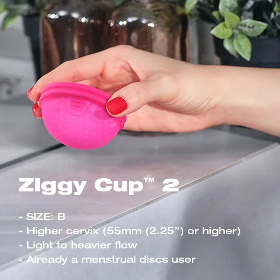 Male Sex Toys Intimina Intimina Ziggy Cup 2 Size B
