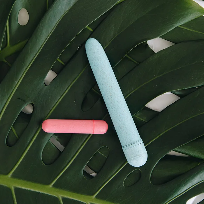 Blush Female Sex Toys Gaia Biodegradable Bullet Vibrator